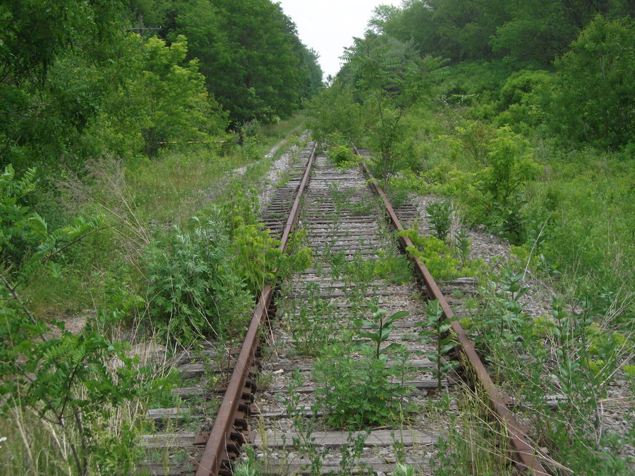 Overgrown RR Track by 3trosso