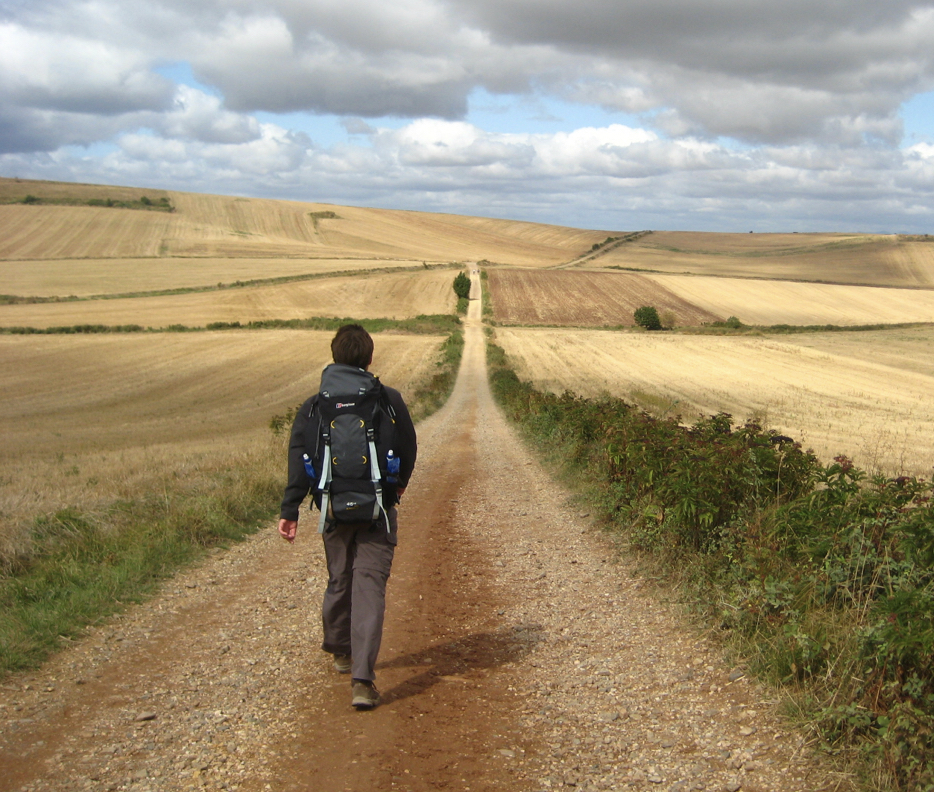 Lent Pilgrim